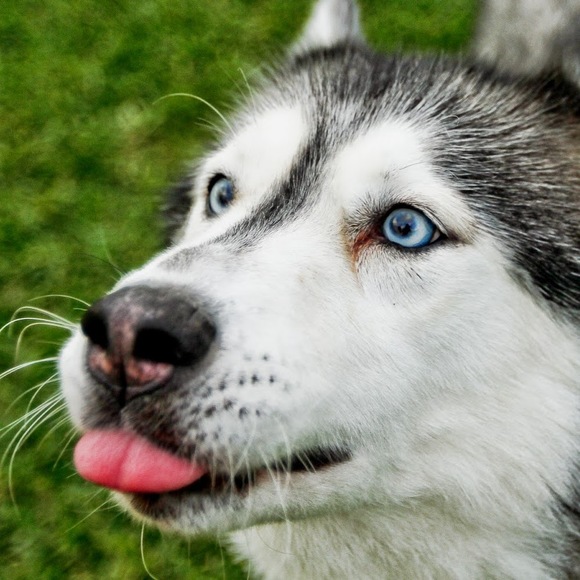 Meet your Posher, Johanna - Picture 1 of 1